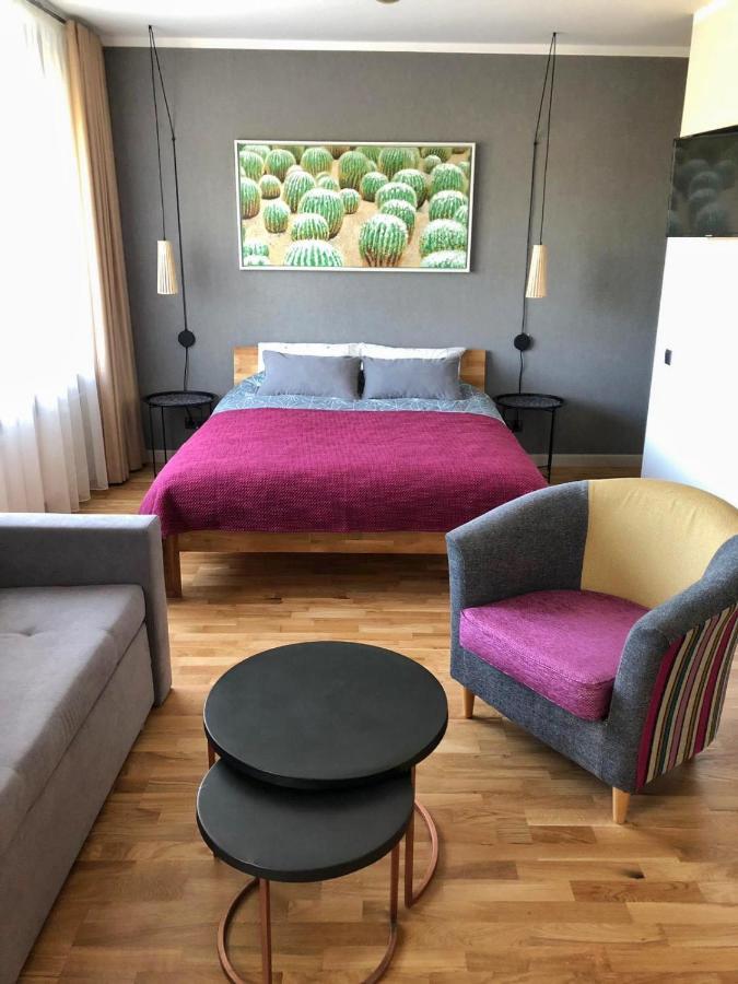 Kaktuss Apartamenti Smiltene Εξωτερικό φωτογραφία