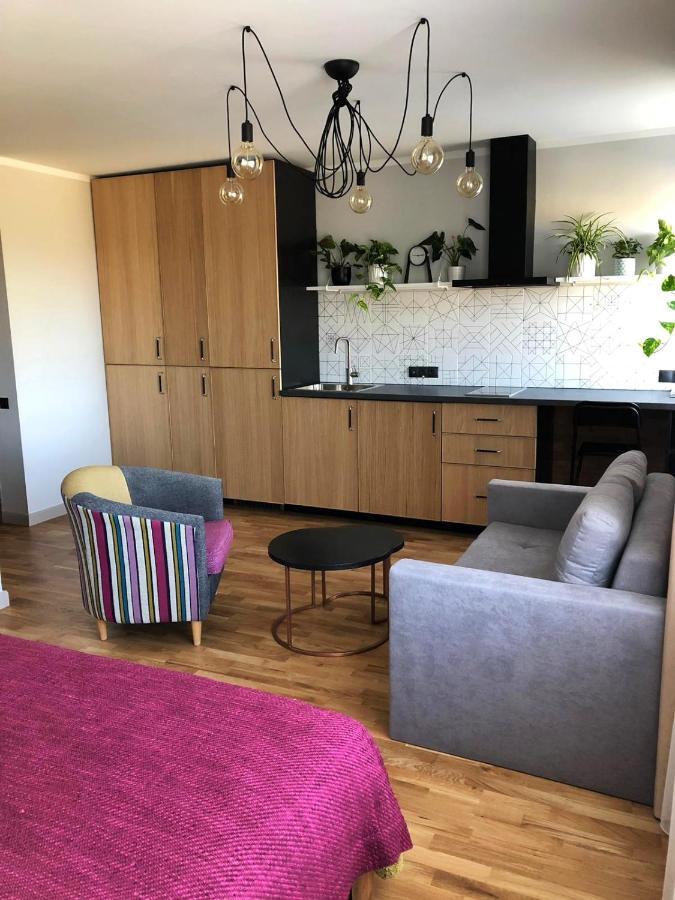 Kaktuss Apartamenti Smiltene Εξωτερικό φωτογραφία
